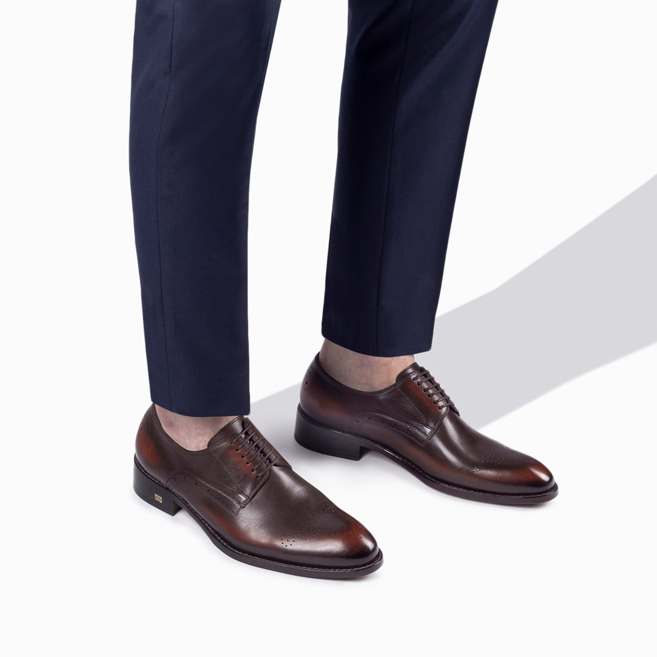 Շագանակագույն դերբիներ