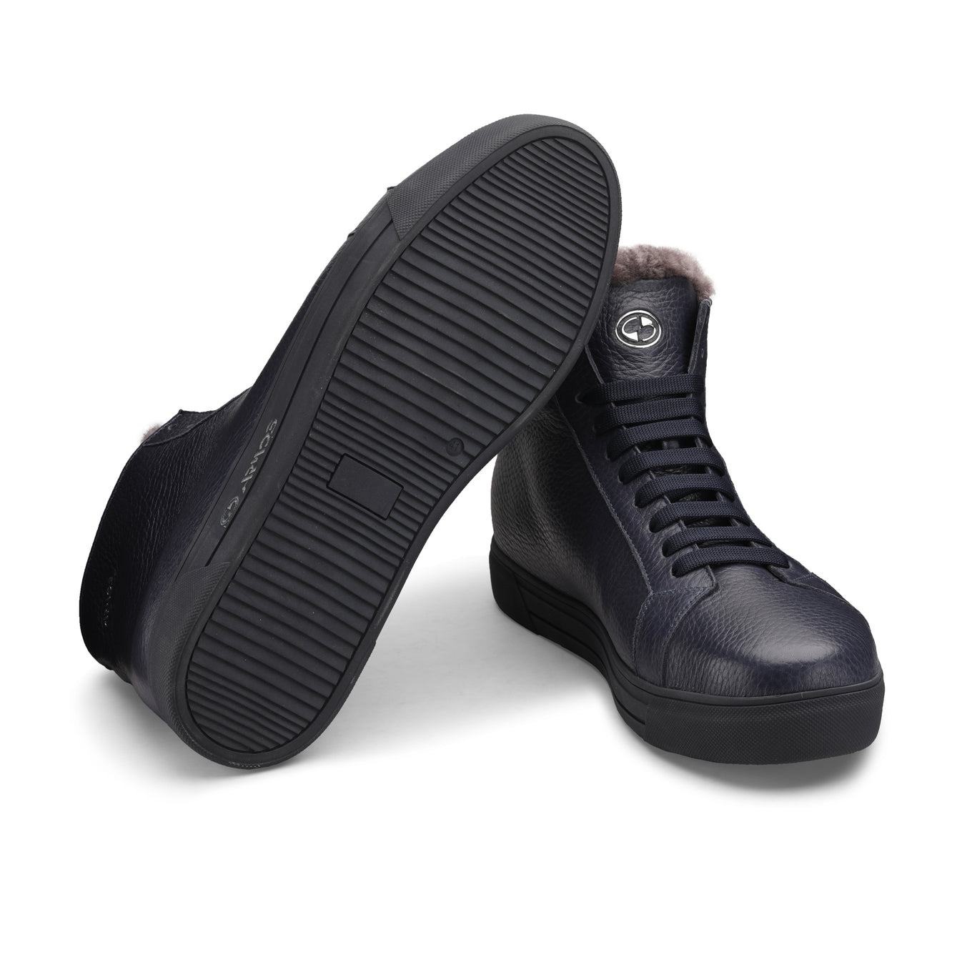 Կապույտ երկարաճիտներ