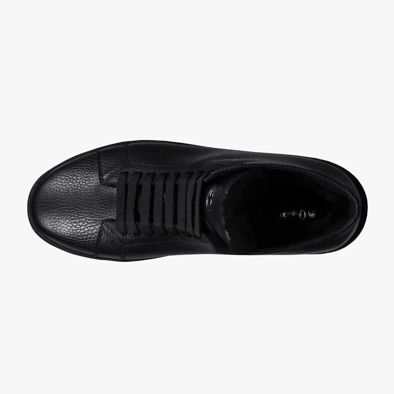 Սև երկարաճիտներ