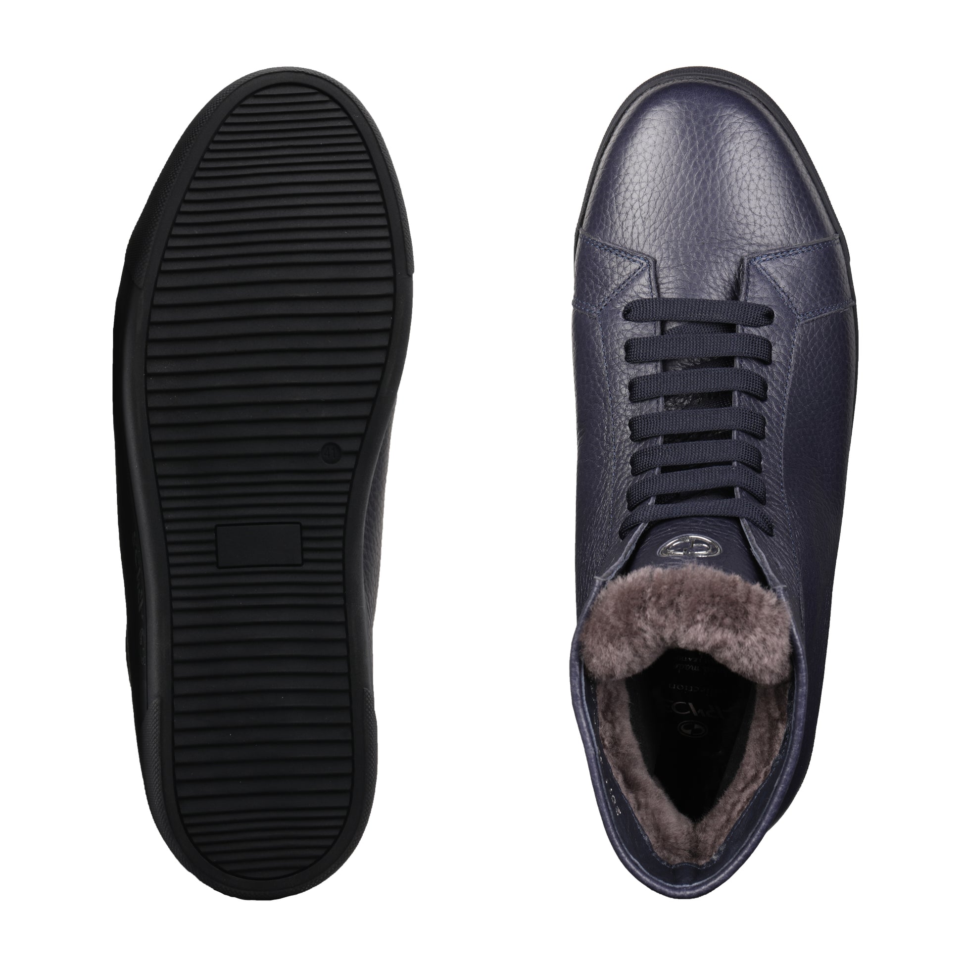 Կապույտ երկարաճիտներ