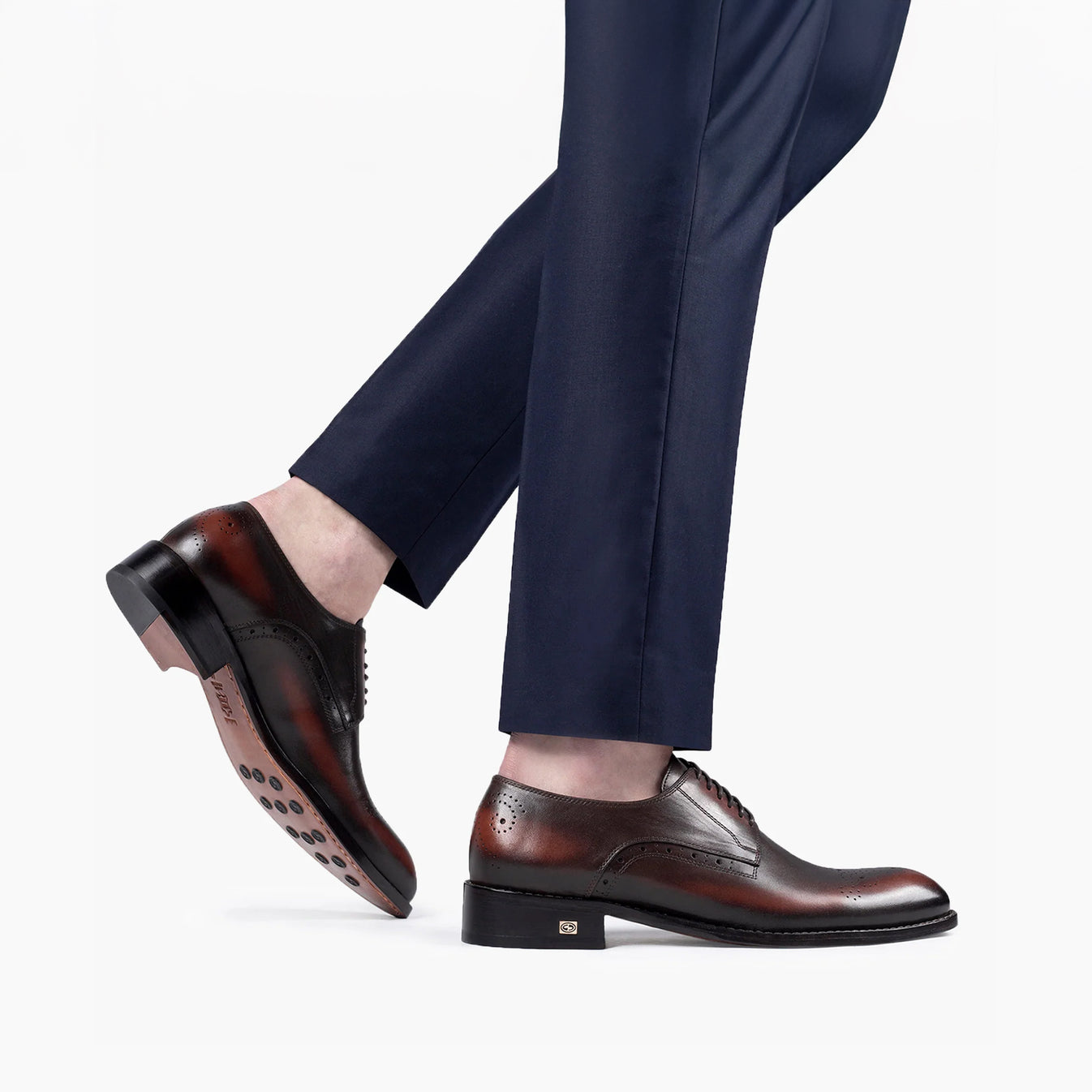 Շագանակագույն դերբիներ