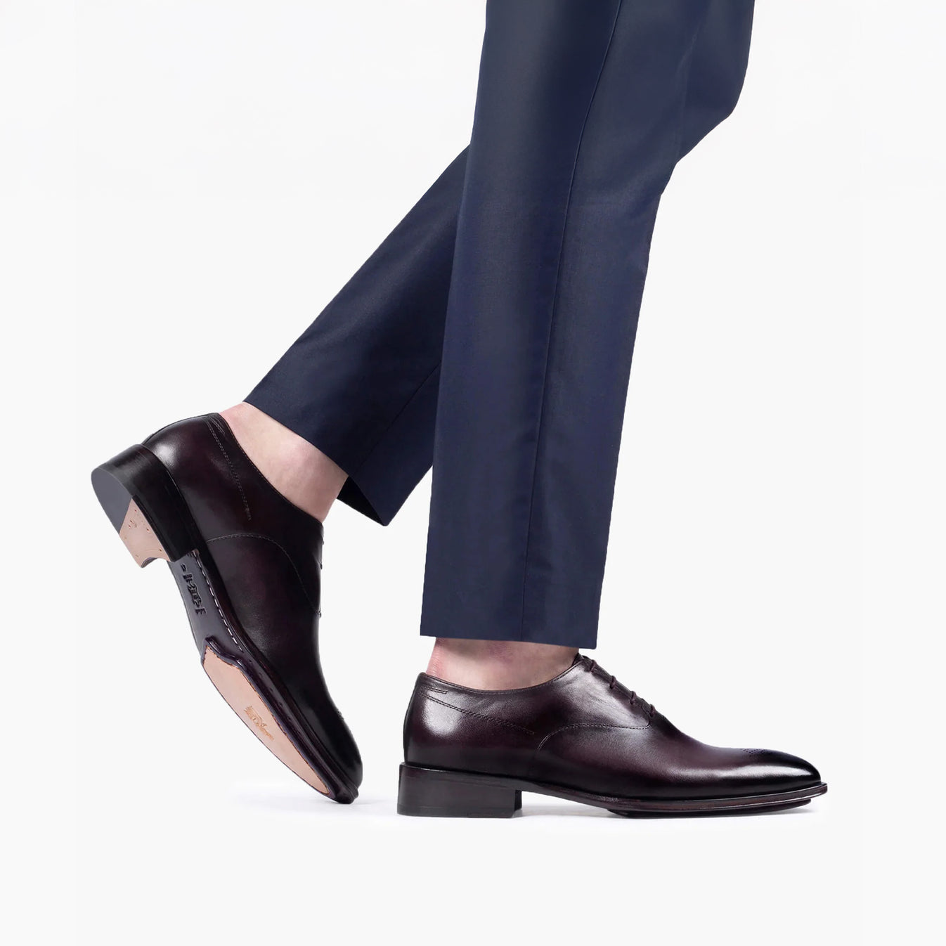 Գինեգույն օքսֆորդներ