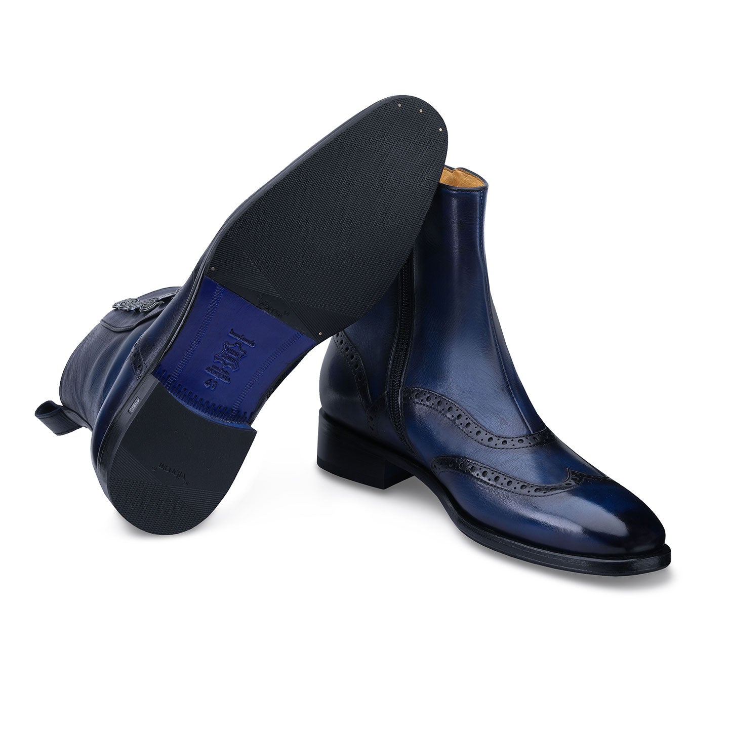 Կապույտի երանգներով երկարաճիտներ