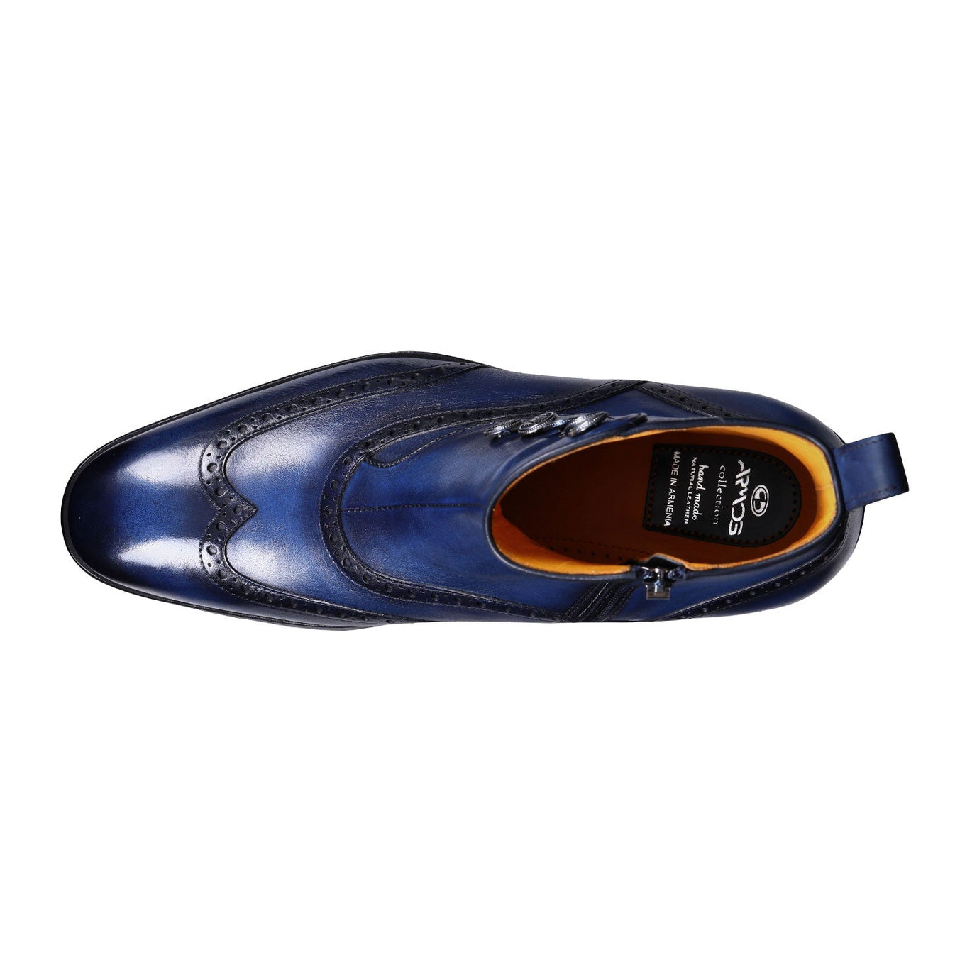 Կապույտի երանգներով երկարաճիտներ