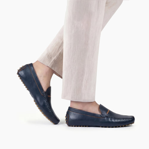 Կապույտ կաշվից չարուխ