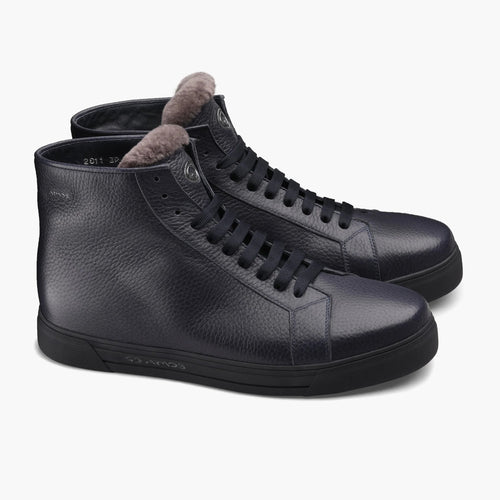 Կապույտ երկարաճիտներ