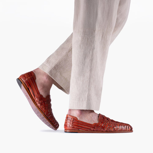 Շագանակագույն սանդալ